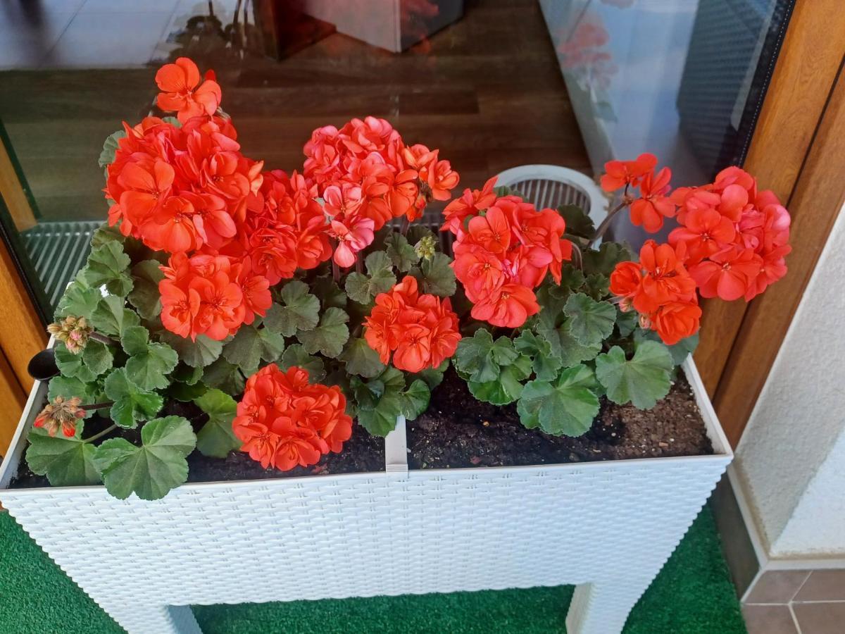 Apartament Z Widokiem Na Morze 드지우노웨크 외부 사진
