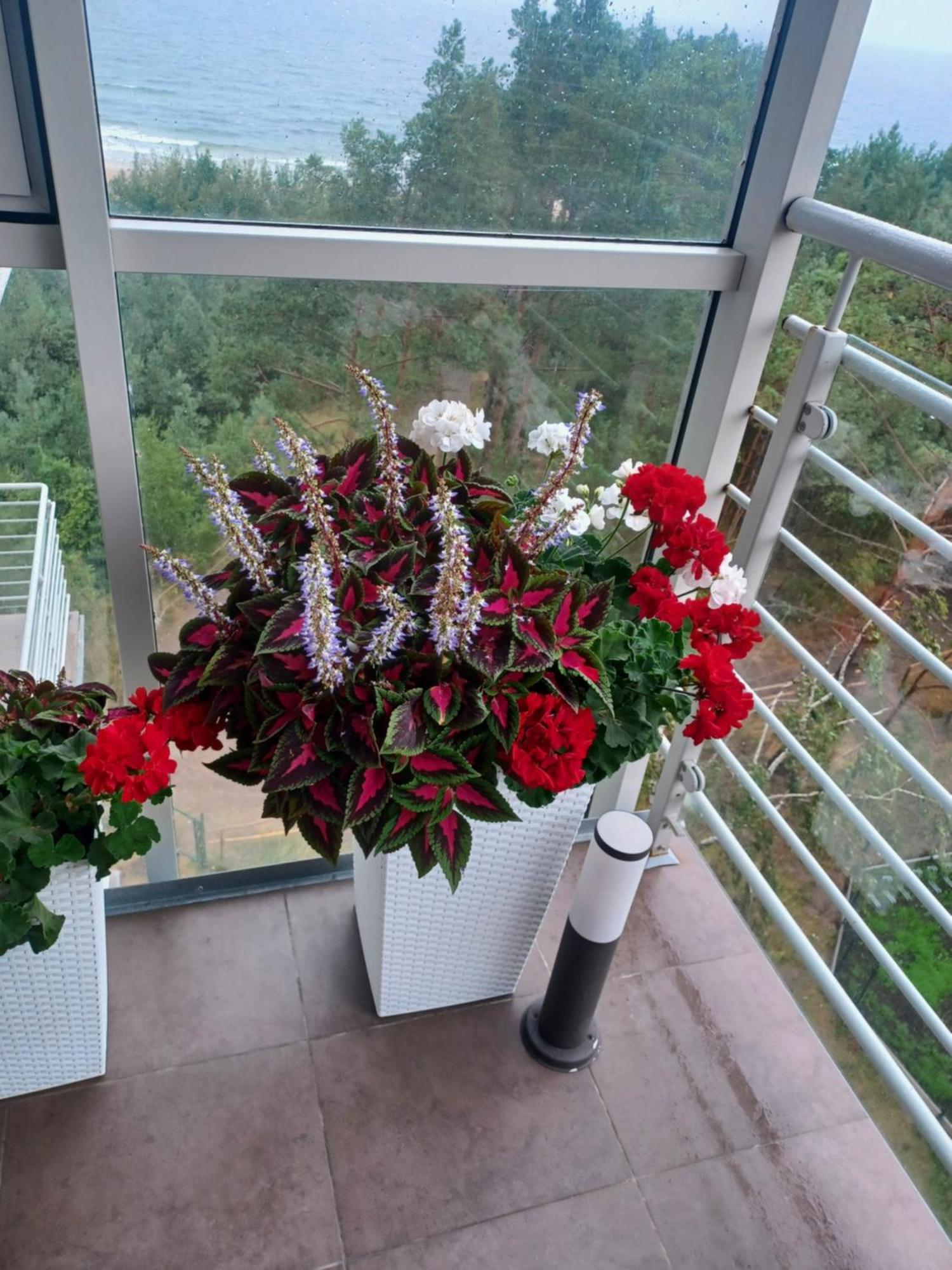 Apartament Z Widokiem Na Morze 드지우노웨크 객실 사진